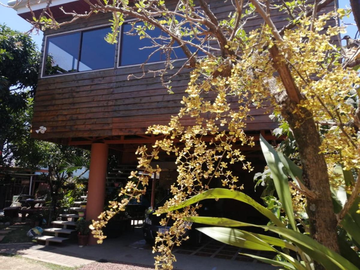 Casa Cora Apartment Heredia Exterior photo