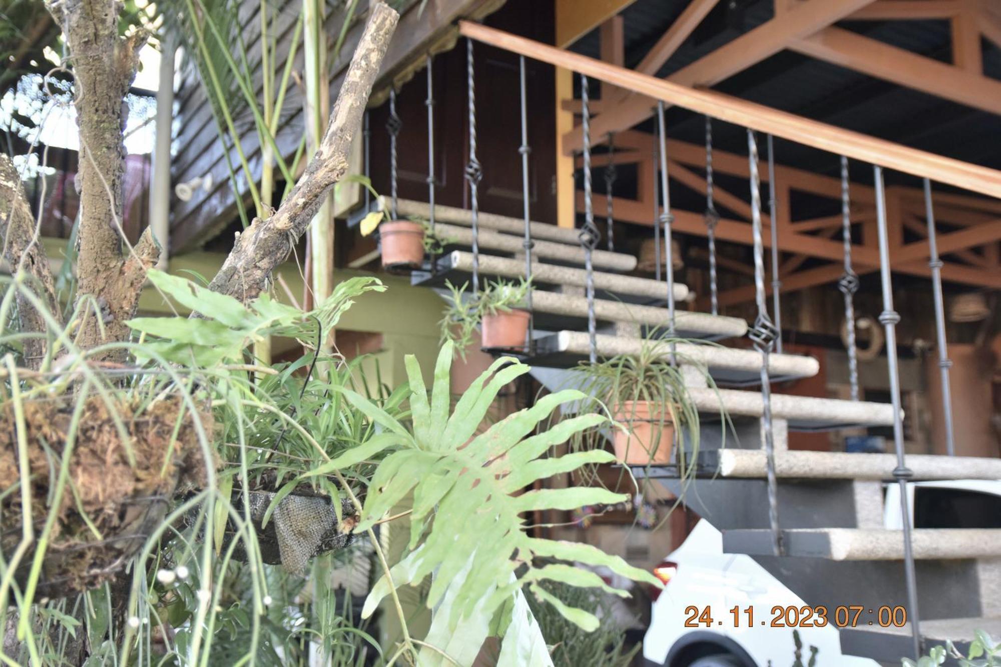 Casa Cora Apartment Heredia Exterior photo